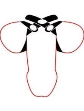 Тройное эрекционное кольцо на кнопках Boners 8-Style Ball Splitter картинка