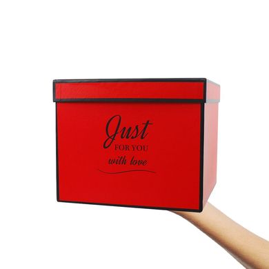 Подарочная коробка Just for you красная, размер S (20 x 17 x 14,5 см) картинка