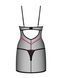 Прозора сорочка + трусики Obsessive Novenes chemise & thong, розмір XS/S картинка 4