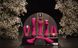 Гнучкий вібратор для точки G Shunga Sanya Intimate Massager Light Pink (діаметр 3,8 см) картинка 10
