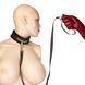 Ошейник с поводком + повязка на глаза Punishment Crystal Collar & Leash Black картинка 2