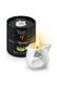 Массажная свеча в керамическом сосуде Plaisirs Secrets White Tea белый чай (80 мл) картинка 5