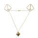 Затискачі для сосків з підвіскою LOCKINK Nipple Clamps with Heavy Pendant Golden картинка 1