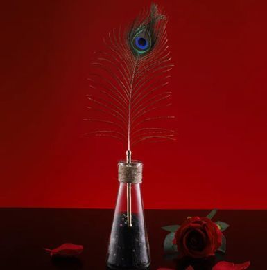 Лоскоталка - перо павича LOCKINK SEVANDA Natural Peacock Flirting Feather Tickler зображення