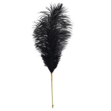 Лоскоталка - перо павича LOCKINK SEVANDA Natural Peacock Flirting Feather Tickler зображення