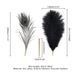 Лоскоталка - перо павича LOCKINK SEVANDA Natural Peacock Flirting Feather Tickler картинка 5