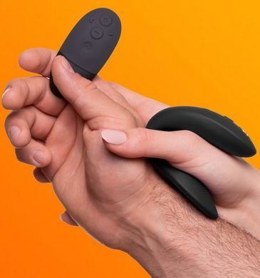 Подарунковий набір іграшок We-Vibe 15 Year Anniversary Collection зображення