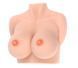 Мастурбатор грудь Kokos Bouncing Titties D картинка 1
