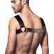 Чоловіча портупея на груди з натуральної шкіри Feral Feelings Bulldog Harness Black картинка 2
