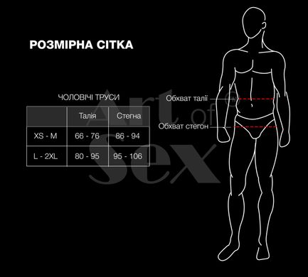 Чоловічі трусики із силіконовою анальною пробкою Art of Sex Sexy Panties plug Black, розмір XS-2XL (пробка size S) зображення
