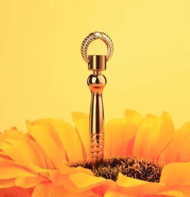 Набор уретральных стимуляторов LOCKINK Bad Boy Training Urethral Plugs Set (3 шт) картинка