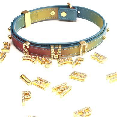 Ошейник LOCKINK Multi-color DIY Alphabet Collar картинка
