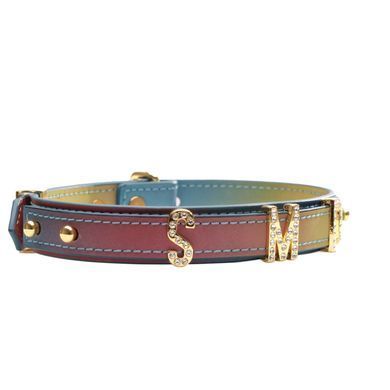 Ошейник LOCKINK Multi-color DIY Alphabet Collar картинка