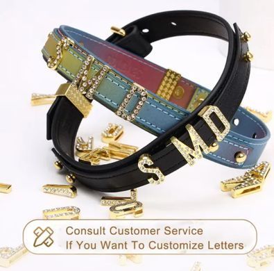 Ошейник LOCKINK Multi-color DIY Alphabet Collar картинка