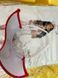 Костюм медсестры Leg Avenue Head Nurse, размер M/L картинка 13