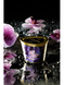 Масажна свічка з афродизіаками Shunga MASSAGE CANDLE Exotic Fruits екзотичні фрукти (170 мл) картинка 15