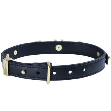 Нашийник LOCKINK Dark DIY Alphabet Collar зображення