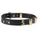 Нашийник LOCKINK Dark DIY Alphabet Collar картинка 4