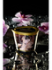 Массажная свеча с афродизиаками Shunga MASSAGE CANDLE Intoxicating Chocolate шоколад (170 мл) картинка 11