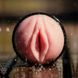 Мастурбатор-вагіна з новою текстурою Fleshlight Pink Lady Destroya картинка 10