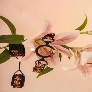 БДСМ-набор LOCKINK The Flowering Serpent Bondage Set (12 шт.) картинка