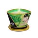 Масажна свічка з афродизіаками Shunga MASSAGE CANDLE Exotic Green Tea зелений чай (170 мл) картинка 3
