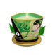Масажна свічка з афродизіаками Shunga MASSAGE CANDLE Exotic Green Tea зелений чай (170 мл) картинка 4