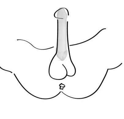 Насадка на член Boners Supporting Penis Sleeve зображення