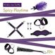 Подарунковий набір для BDSM RIANNE S Kinky Me Softly Purple: 8 предметів для задоволення картинка 3