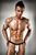 Чоловічі еротичні труси Passion 015 THONG silver L/XL зображення