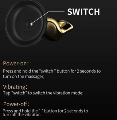 Масажер простати LOCKINK SEVANDA Eros Vibrating Prostate Massager (діаметр 3 см) зображення