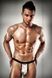 Чоловічі еротичні труси Passion 015 THONG silver L/XL картинка 1