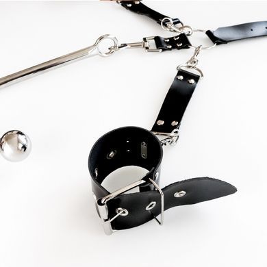 Бондажний набір із металевим анальним гаком №4 Art of Sex Beatrice Bondage set with anal hook №4 (діаметр кульок 3,8 та 5 см) зображення