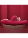Вібратор-кролик з вакуумною стимуляцією і стовбуром, що обертається Kistoy A-King Max Red (+ LED-екран) картинка 7