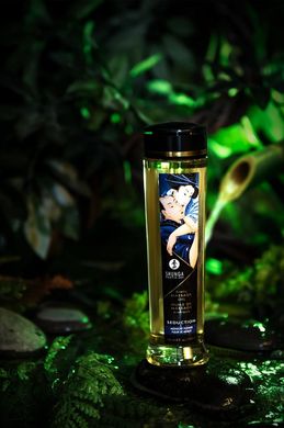Масажна олія зволожуюча Shunga Seduction Midnight Flower (240 мл) зображення