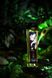 Масажна олія зволожуюча Shunga Seduction Midnight Flower (240 мл) картинка 7