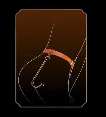 Анальный крюк LOCKINK Golden Adjustable Anal Hook Set картинка