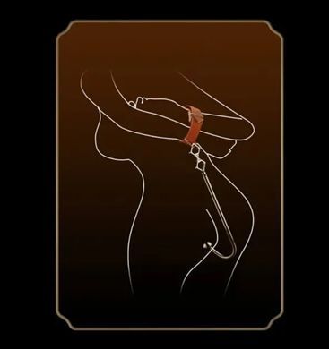 Анальный крюк LOCKINK Golden Adjustable Anal Hook Set картинка