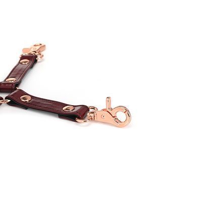 Шкіряна хрестовина Liebe Seele Wine Red Hogtie зображення