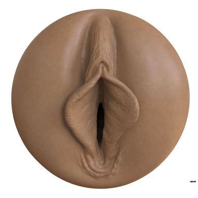 Мастурбатор-вагіна Fleshlight Boost Bang Medium Dark Flesh, плаваючі кільця Turbo Tech зображення