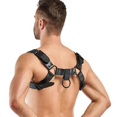Мужская портупея на плече Bedroom Fantasies Bruno Chest Bulldog Harness Black картинка