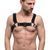 Чоловіча портупея на груди Feral Feelings Bulldog Harness Black зображення