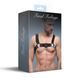 Чоловіча портупея на груди Feral Feelings Bulldog Harness Black картинка 3