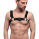 Чоловіча портупея на груди Feral Feelings Bulldog Harness Black картинка 1