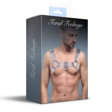 Чоловіча прозора портупея на груди Feral Feelings Bulldog Harness Trasparent зображення