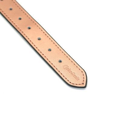 Шкіряний кляп з силіконовою кулькою Liebe Seele Rose Gold Memory Ball Gag зображення