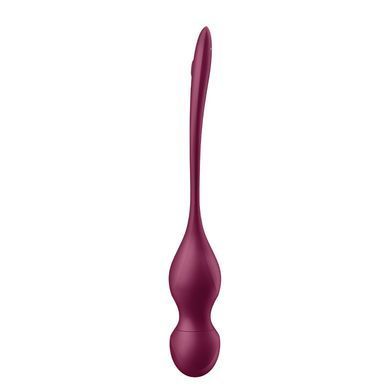 Вагінальні смарт-кульки з вібрацією та пультом ДК Satisfyer Love Birds Vary Connect App (діаметр 3,3 см) зображення