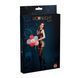 Бодістокінг з доступом та малюнком у вигляді боді та панчіх Moonlight Model 14 Black (розмір 36-44) картинка 3
