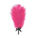 Романтичний набір Rianne S: Kit d'Amour: віброкуля, пір'їнка, маска, чохол-косметичка Black/Pink картинка 3
