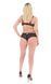 Красивий комплект Passion ECO DROSERA BIKINI black, розмір L/XL  картинка 10
